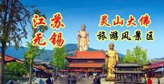 www..com男B江苏无锡灵山大佛旅游风景区