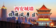 免费干骚逼中国陕西-西安城墙旅游风景区